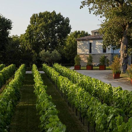 Borgo San Gregorio Villa Sorbo Serpico Екстериор снимка